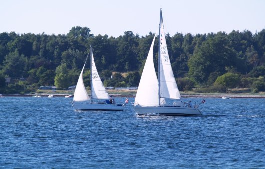 Danish_sailboats.jpg